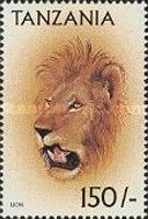 Lion (Panthera leo)