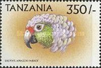 Red-fronted parrot (Poicephalus gulielmi)