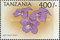 Viola cornuta