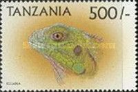 Iguana iguana