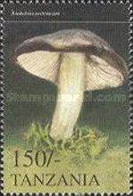 Tricholoma portentosum