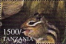 Eastern Chipmunk (Tamias striatus)