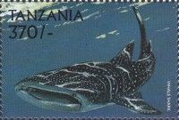 Whale shark (Rhincodon typus)