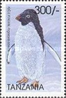 Adélie penguin (Pygoscelis adeliae)
