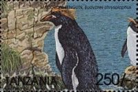 Eudyptes chrysolophus