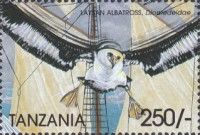 Laysan Albatross (Diomedea immutabilis)