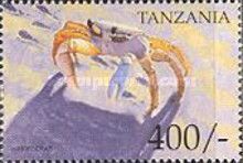 Ghost Crab