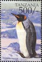 Emperor Penguin