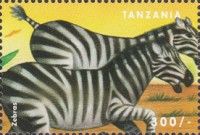 Zebras