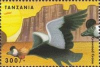 Crowned cranes