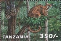 Colombian Red Howler (Alouatta seniculus), Bat sp (Artibeus