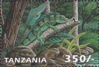 Iguana iguana