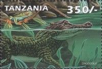 Crocodylus acutus