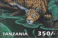Panthera onca