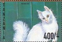 Angora