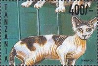 Sphynx
