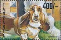 Basset hound. f, Cavalier King Charles
