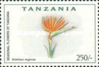 Strelitzia reginae
