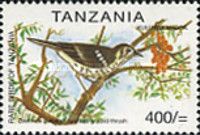 Spotted Ground Thrush (Geokichla guttata)