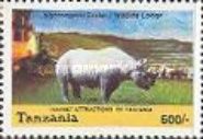 Black Rhinoceros (Diceros bicornis), Ngorongoro Crater