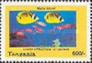 Yellow Longnose Butterflyfish, Squirrelfish