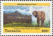 African Elephant (Loxodonta africana), Mikumi National Park