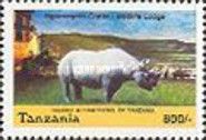 Black Rhinoceros (Diceros bicornis), Ngorongoro Crater