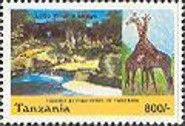 Giraffes (Giraffa camelopardalis), Lobo Park