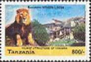 Lion (Panthera leo), Seronera Park