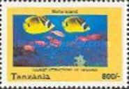 Yellow Longnose Butterflyfish (Forcipiger flavissimus), Squi