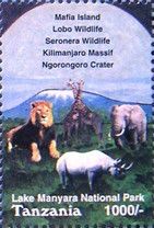 Wild Animals - Kilimanjaro