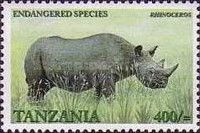 Black Rhinoceros (Diceros bicornis)