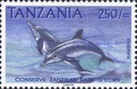 Dolphins