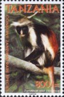 Zanzibar Red Colobus (Piliocolobus kirkii)