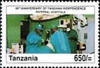 Referral hospitals