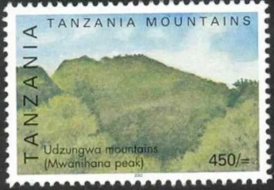Udzungwa Mountains (Mwanihana Peak)