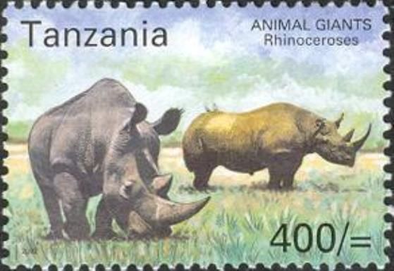 Black Rhinoceros (Diceros bicornis)