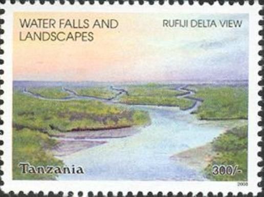 Rufiji Delta View