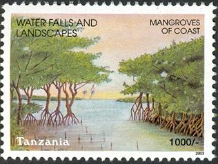 Mangroves of Coast