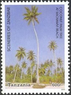 Coconut Palm Tree at Michamvi Beach