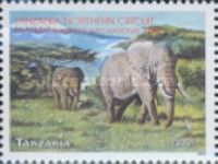 African Elephant (Loxodonta africana)