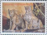 Leopard (Panthera pardus)