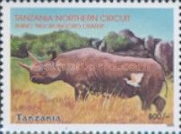 Rhinoceros (Diceros bicornis)