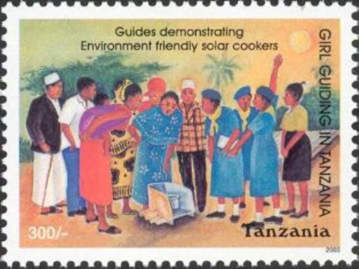 Guides demonstrating Environment friendly solar cookers