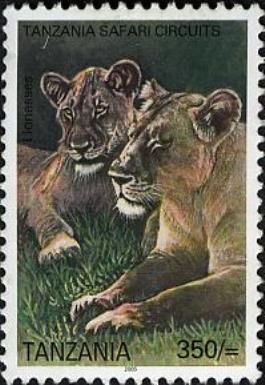 Lion (Panthera leo)