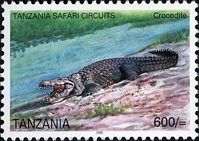 Nile Crocodile (Crocodylus niloticus)