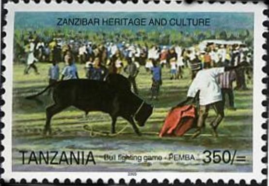 Bull fighting game - Pemba