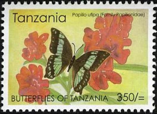 Swallowtail Butterfly (Papilio ufipa)