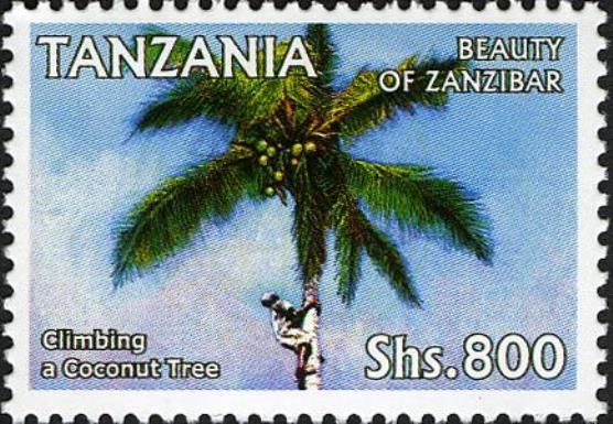 Climbing a Coconut Tree
