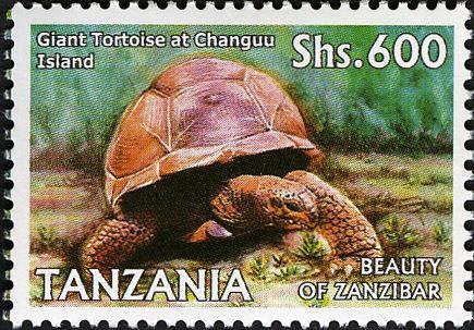 Aldabra Giant Tortoise (Geochelone gigantea) at Changuu Isla